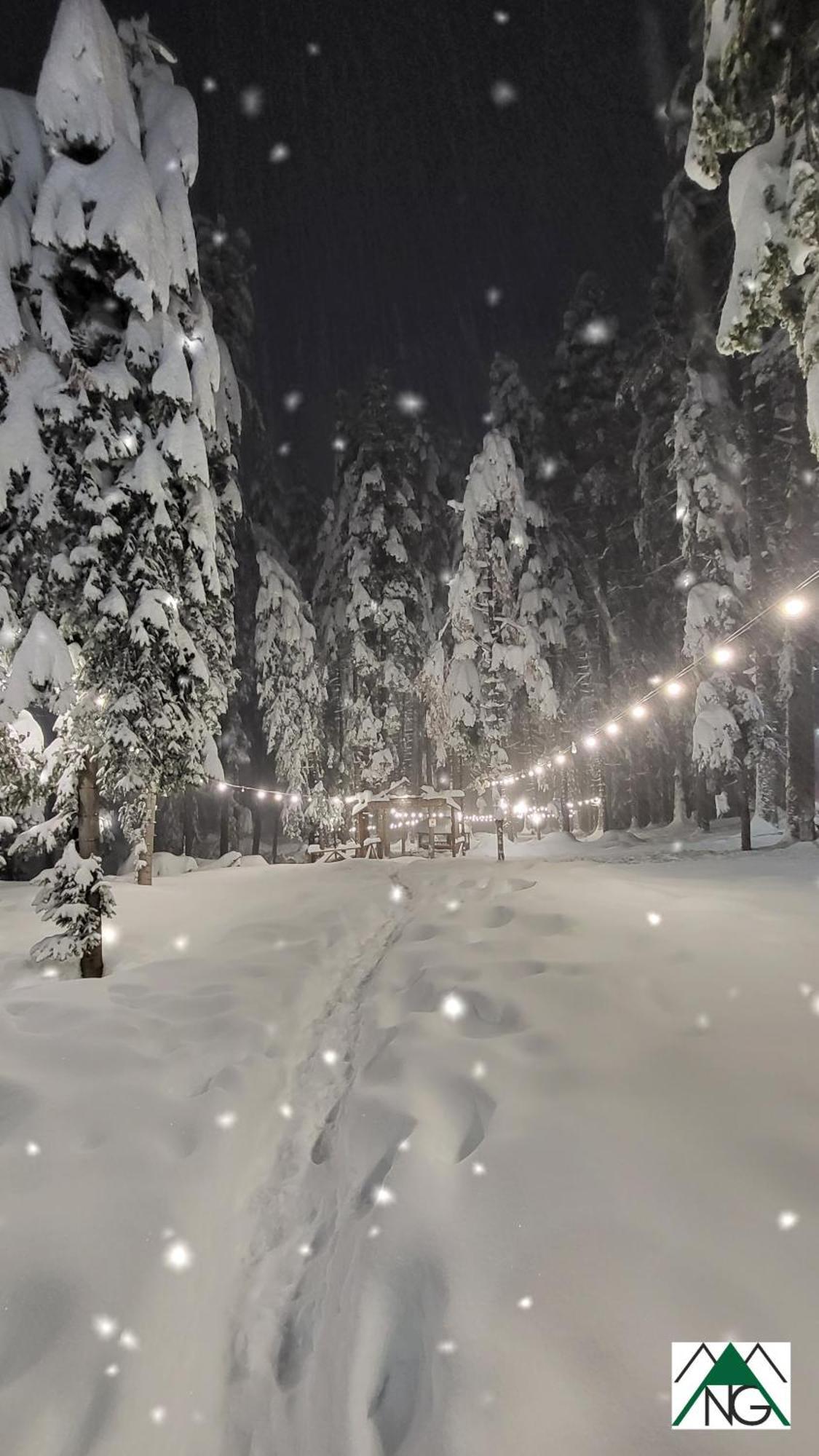 Pinewood Ang Luxurious Apartment A32 Borovets Exteriör bild